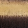 Horizont