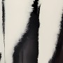 Echos der Stille