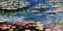 Wasserlilien inspiriert Claude Monet - Panorama