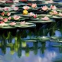 Wasserlilien inspiriert Claude Monet - Panorama