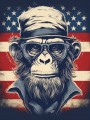 USA Affe