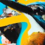 Eisvogel