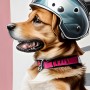 Hund auf einem Roller