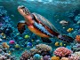 Schildkröte schwimmt unter einem Korallenriff