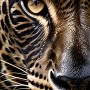 Leopard Porträt