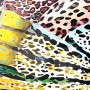 Leopardenmuster