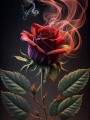 Brennende Rose Blume Pflanze Rot auf Leinwand