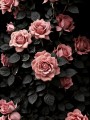 Rose Blume Leinwand Poster Botanisch Wohnzimmer