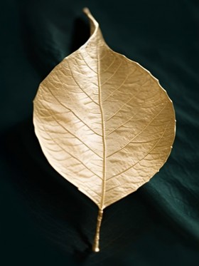 Blatt Gold Grün Leinwand Poster Botanisch Wohnzimmer