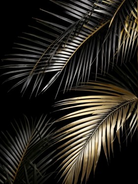 Schwarz Gold Palmenblatt Leinwand Poster Wohnzimmer Küche