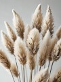 Eleganz der Trockenblumen