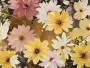 Abstrakter Blumenstrauß der Sonnenblumen