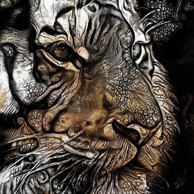 Tiger Dschungel Wandbild Modern Tiere Natur Afrika