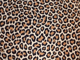 Leopardenmuster Animal Print Leopardenmuster Animal Print