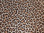 Leopardenmuster Animal Print