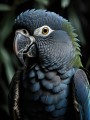 Blauer Papagei im Dschungellicht