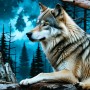 Wolf im mystischen Wald