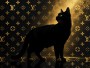 Schwarze Katze vor Goldmuster
