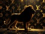 Majestätischer Löwe in Schwarz-Gold