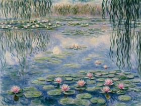 Seerosen im stillen Teich