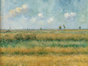 Weizenfeld unter bewegtem Himmel