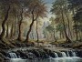 Märchenhafter Waldfluss