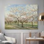 Blühender Obstgarten im Frühling