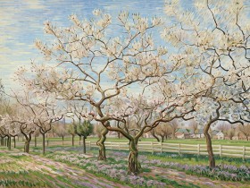 Blühender Obstgarten im Frühling