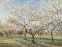 Blühender Obstgarten im Frühling