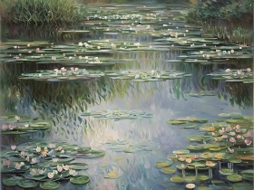Seerosenteich im sanften Licht