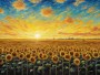 Sonnenblumenfeld im Abendlicht