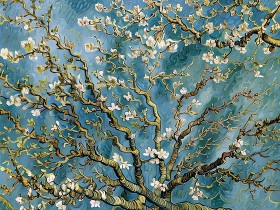 Mandelblüten vor Blau