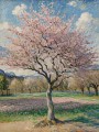 Blühender Baum im Frühlingslicht