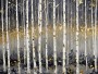 Birkenwald in Grau und Gold