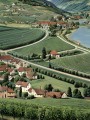 Weinberge im sanften Tal