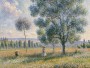 Sommerwiese mit Spaziergängerin