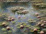 Seerosenteich in sanften Farben