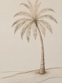 Zarte Palme am Strand