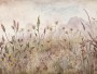 Zarte Wildblumenwiese