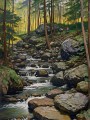 Wald Bachlauf mit Felsen