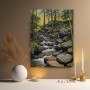 Wald Bachlauf mit Felsen