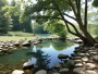 Waldteich mit Spiegelung