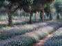 Blühender Garten im Morgenlicht