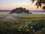 Morgennebel über der Blumenwiese