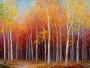 Herbstwald mit weißen Birken
