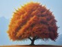 Herbstbaum in leuchtendem Orange