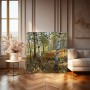 Birkenwald im Herbstlicht