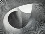 Geschwungene Architektur in Schwarzweiß