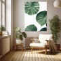 Monstera Blätter in sattem Grün