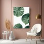 Monstera Blätter in sattem Grün